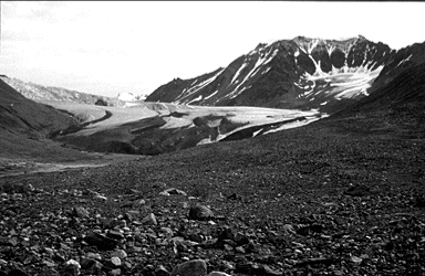 terminus of the Gulkana Glacier