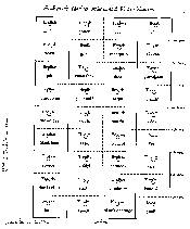 Standup forest student handout