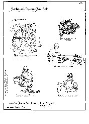 Collecting and Preparing Cedar Roots