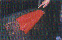 Start slicing down the back of the salmon