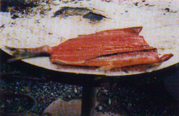 Slice the salmon in half