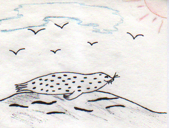 A Seal Hunt 