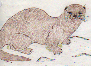 The Bearded Seal and the Otter 
