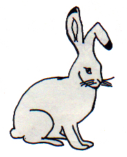 the Rabbit's ears 
