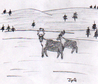 Caribou Hunting at Kalskag 