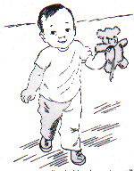 14- Eventually, babies learn to walk more steadily.