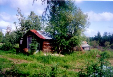 Cabin in the restoration project