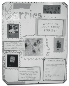 Berries poster