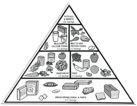 colored food pyramid