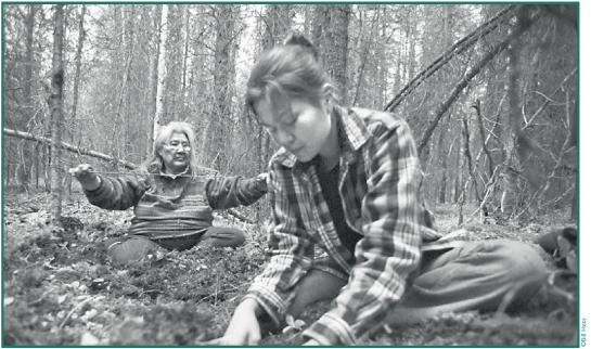 Katie John and her granddaughter, Angie David, digging spruce roots.