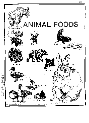 Animal Foods