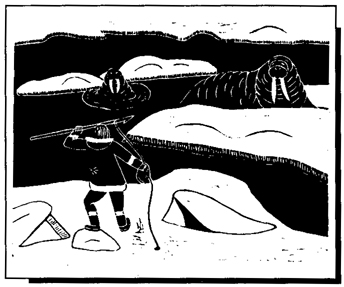 walrus hunting