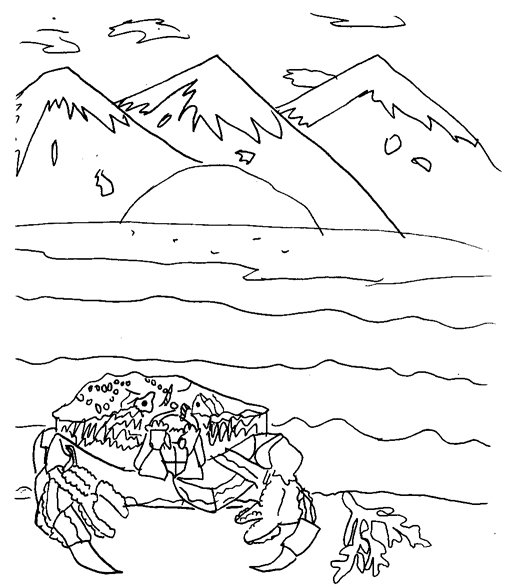 Crab