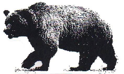 Sam the Bear 