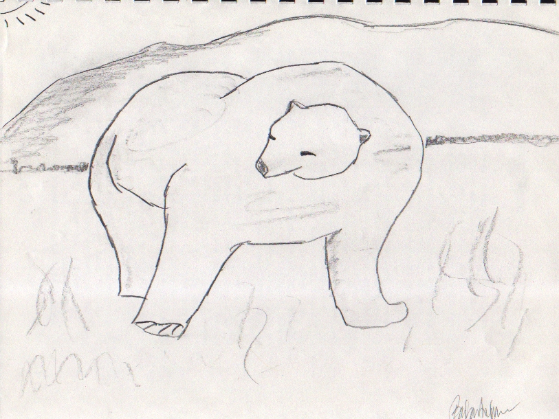  Polar Bear 