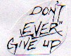 Don't Ever Give Up