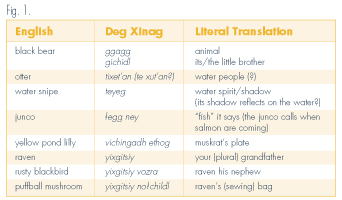 Example of Deg Xinag words for birds, fish, animals and plants